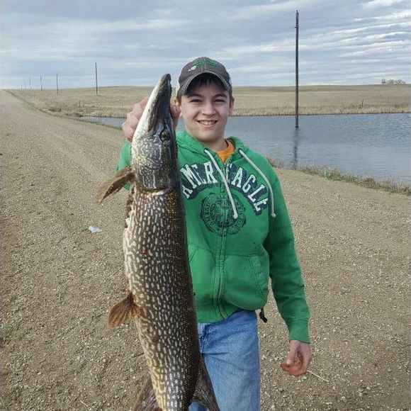 Meet your Posher, Grant - Picture 1 of 1